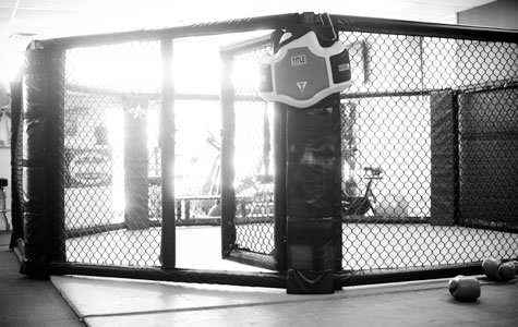 Pettis' Next Fight: Showtime vs. Sisyphus