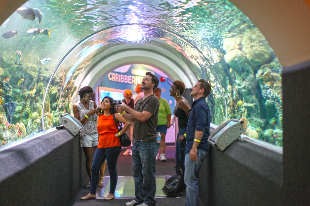 11 Things to Do on a Rainy Day in Milwaukee