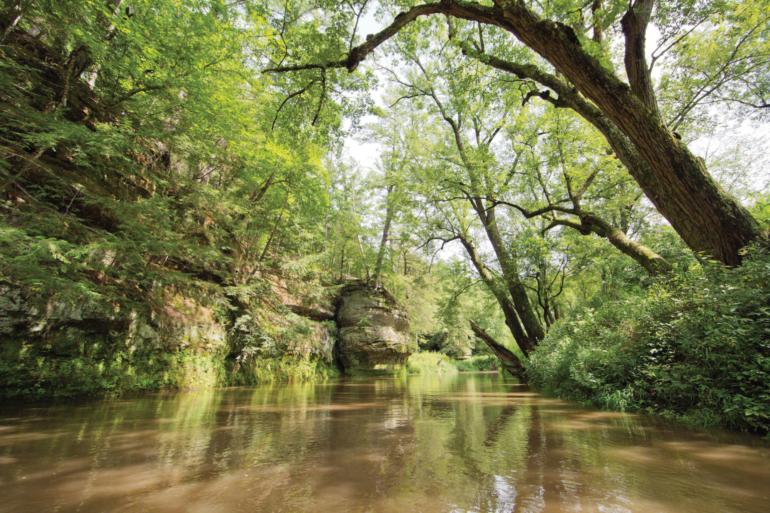 A Guide to Wisconsin’s Driftless Area