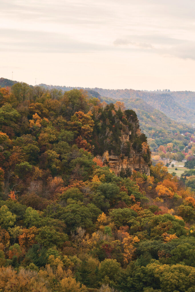 A bluff covered in autumn trees stands in the Mississippi Valley in Wisconsin.