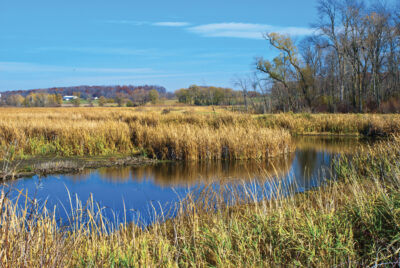 This Might Be the Best Time to Visit Horicon Marsh; Here’s What to Know ...