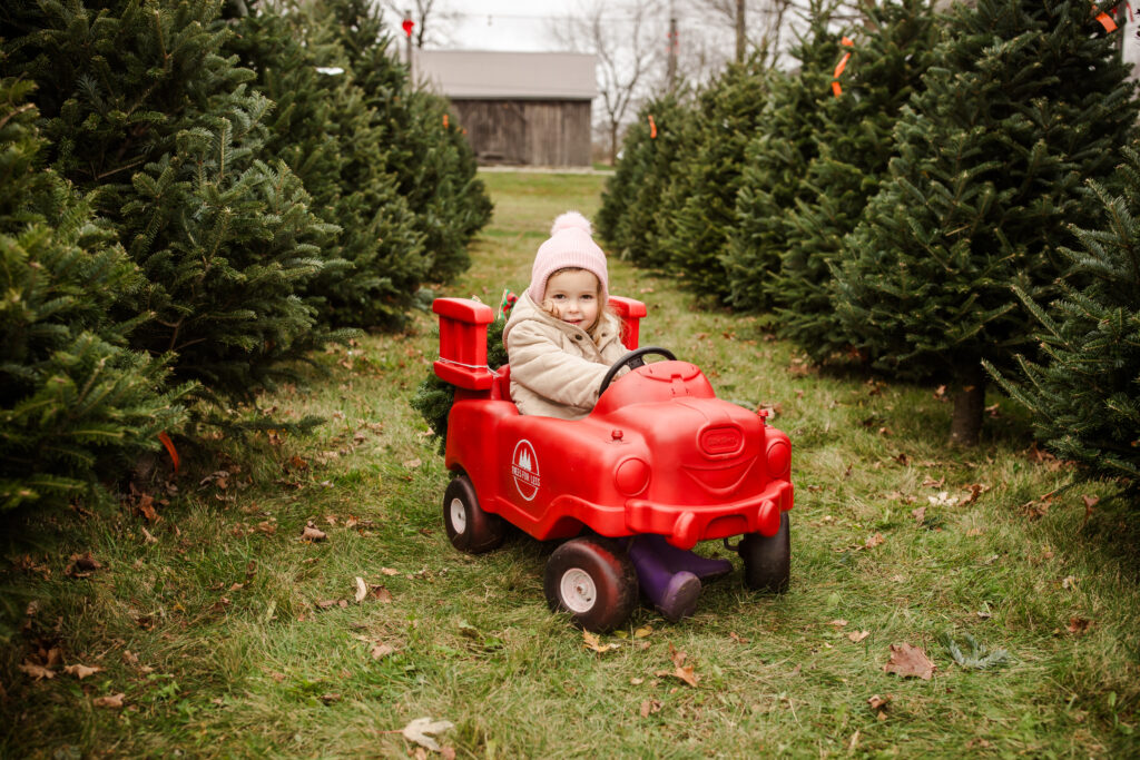 Christmas tree farm with little girl in a toy truck