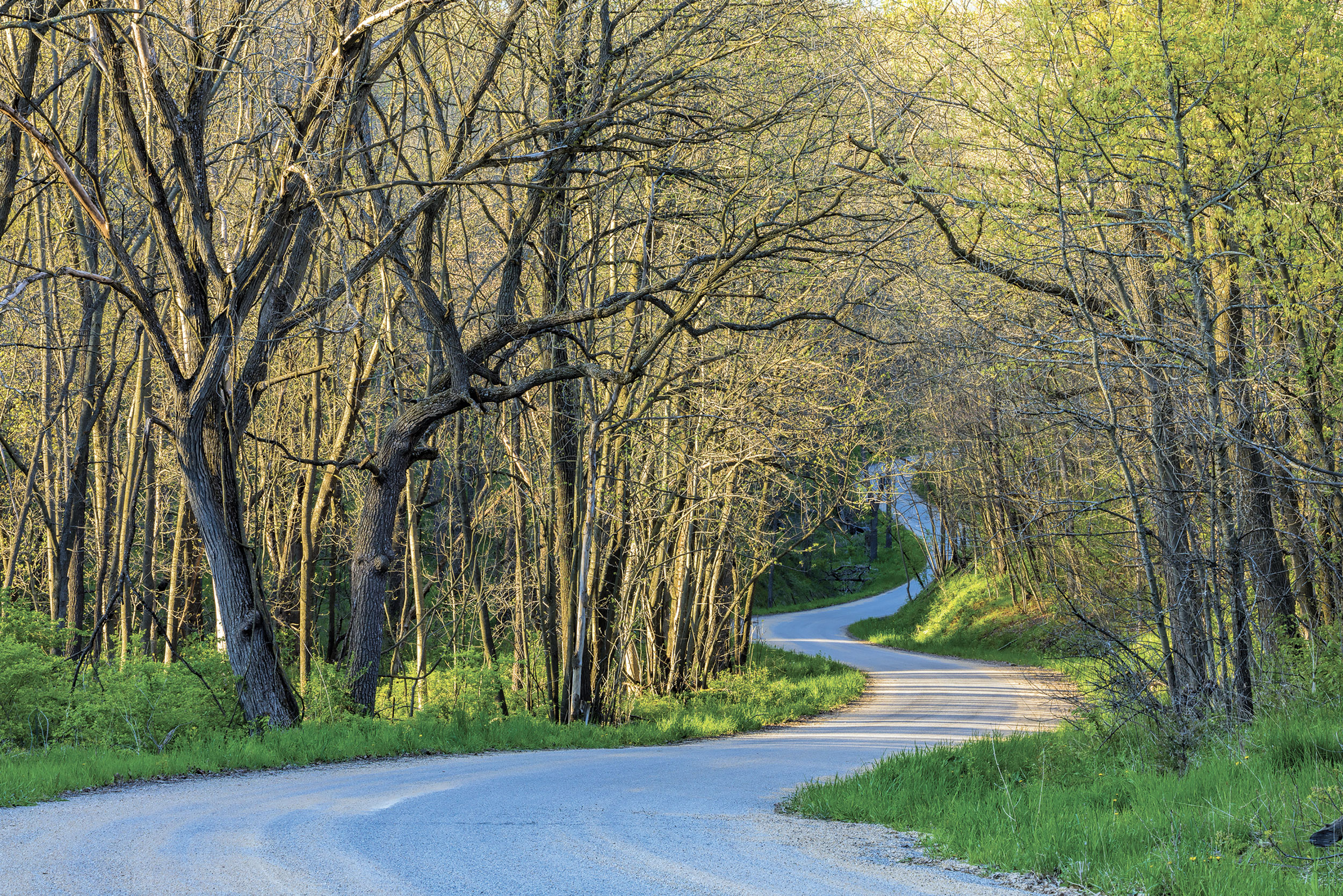 How Photographer Vicki France Captured This Lush Shot in in the Driftless Area