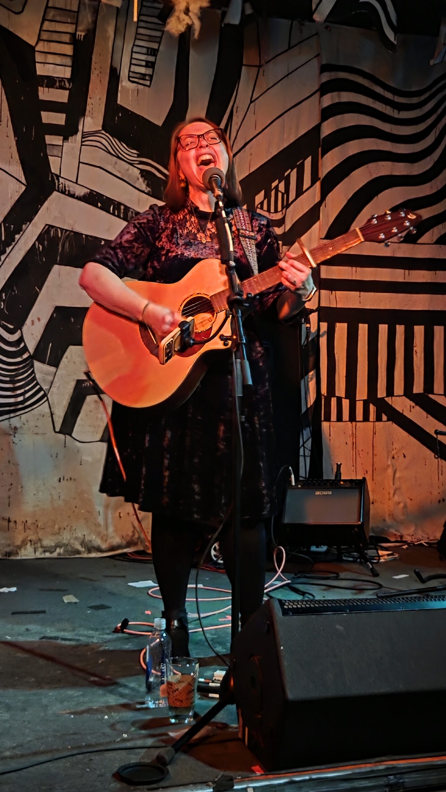 Lisa Ridgely of The Fainting Room sings and play guitar at Cactus Club in Milwaukee