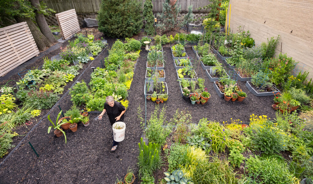 Summer day in Marilu Knode's garden.