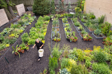 Summer day in Marilu Knode's garden.