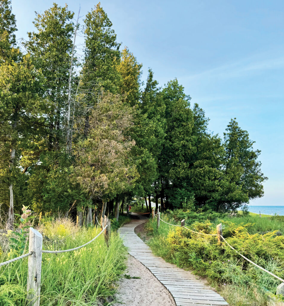 Wooden boardwalk pathway curving through green foliage and tall evergreen trees toward a large body of water under a clear blue sky.
