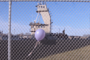 A purple balloon against a chain link fence.