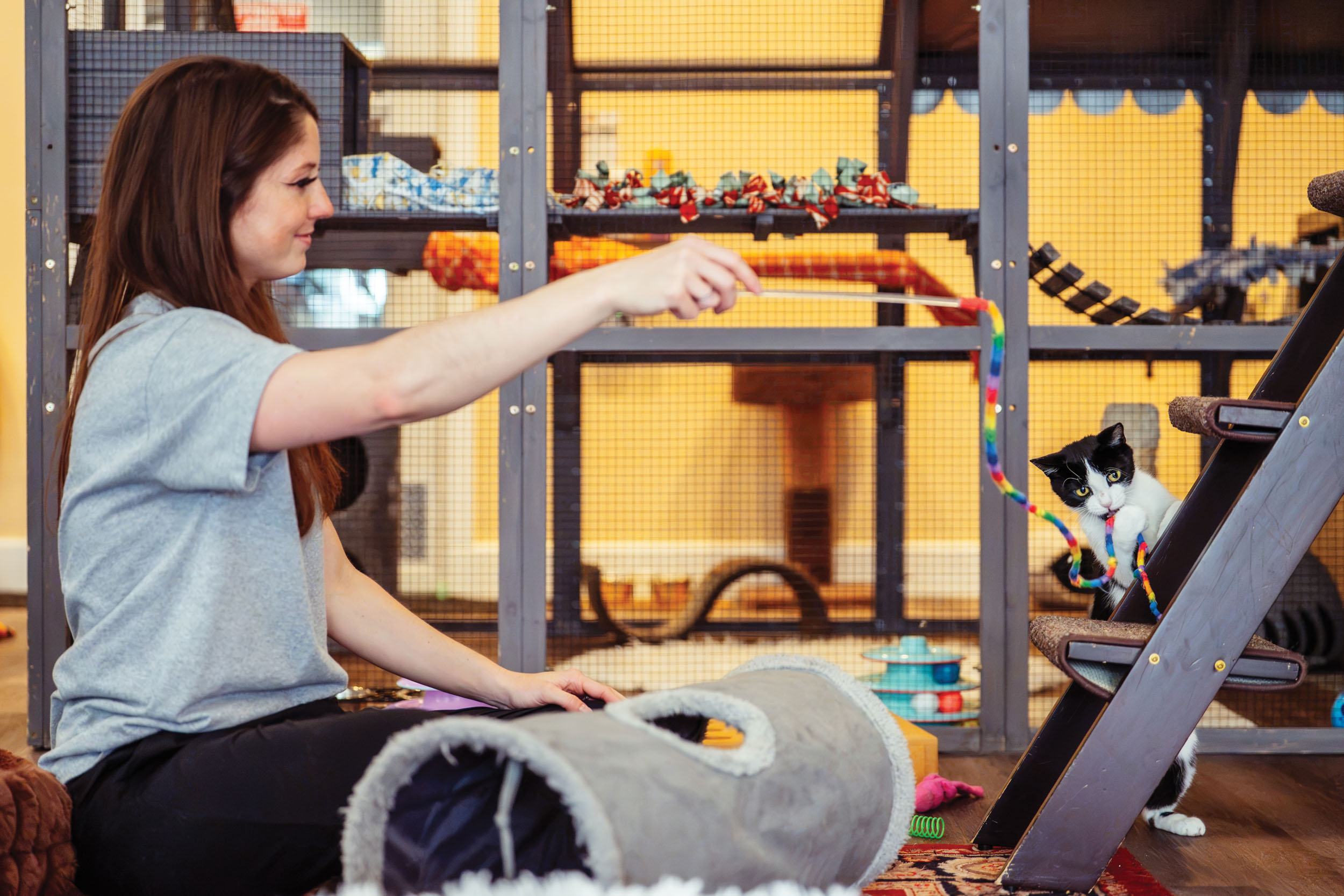 Meet the 2026 Best Of Shopping and Services Winners