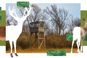 A collage-style illustration centers on a wooden hunting stand in a leafless woodland, surrounded by layered images and silhouettes of deer. Green geometric blocks with camouflage-like patterns frame the scene, contrasting with the white background and muted browns of the late-fall landscape.