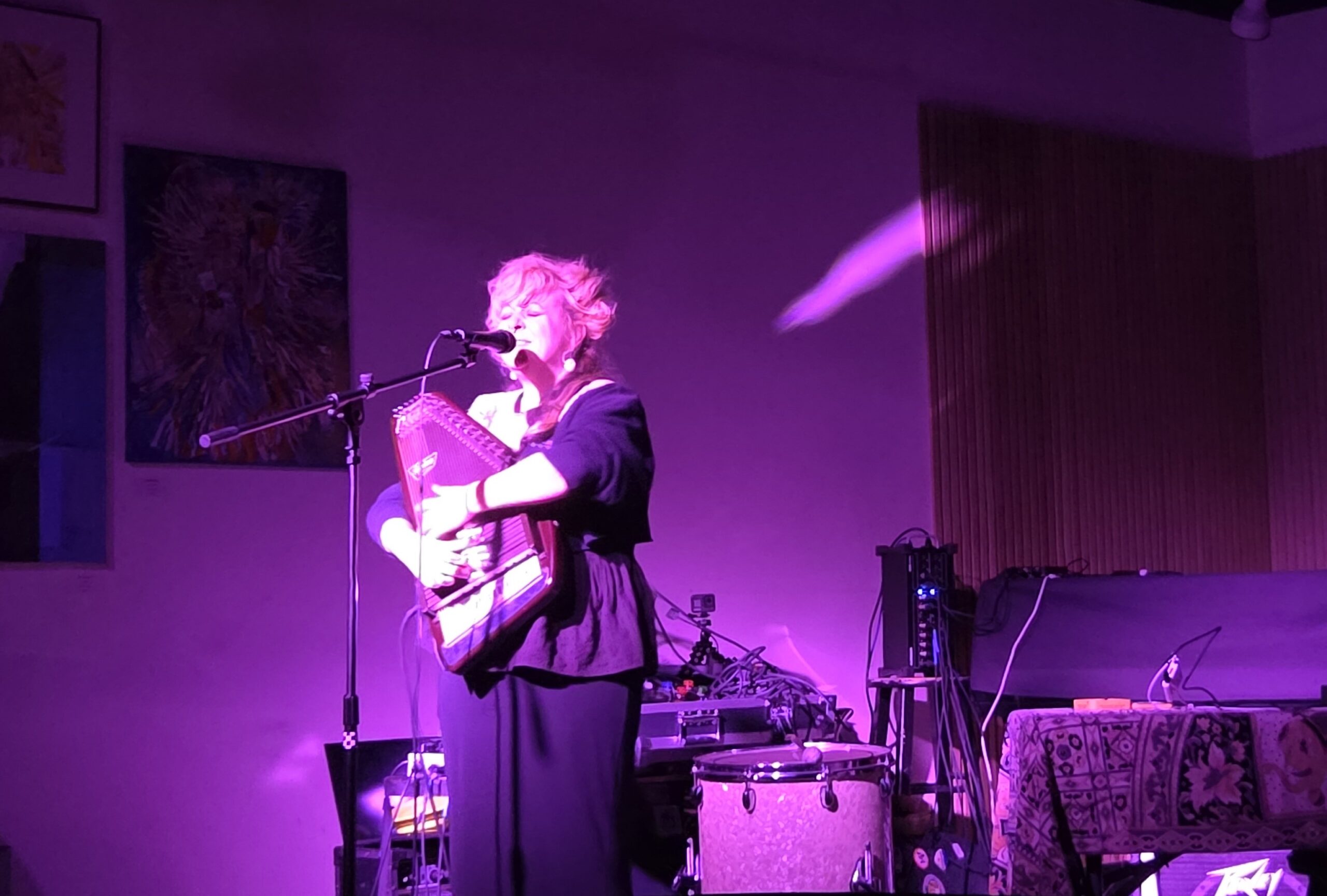Kelli Frances Corrado performing the autoharp at the Jazz Gallery Center for the Arts.
